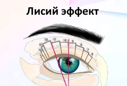 эффект лисьих глаз